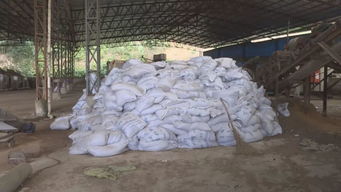 平和 責令眾興畜禽無害化處理公司立即整改