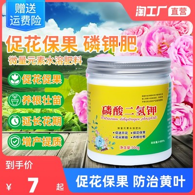 當(dāng)前網(wǎng)購流行產(chǎn)品