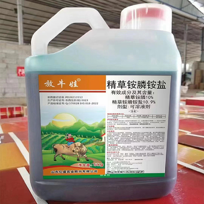 放牛娃的致富路 從牛糞到綠色財富的肥料轉(zhuǎn)型