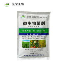 2021年微生物肥料市場行情深度解析 價格、報價與批發渠道探秘